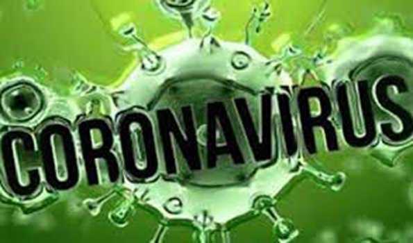 मराठवाड़ा में कोविड-19 से एक दिन में 42 मौतें मराठवाड़ा में कोविड-19 से एक दिन में 42 मौतें